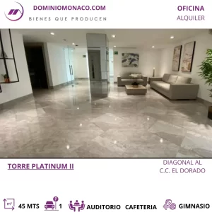Alquilo elegante Oficina Torre Platinum II